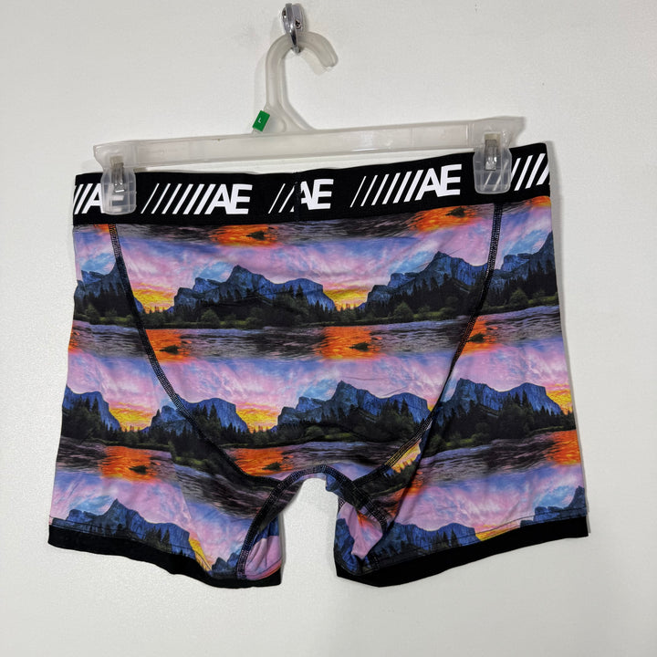 AMERICAN EAGLE PRINTED SPORT BOXER