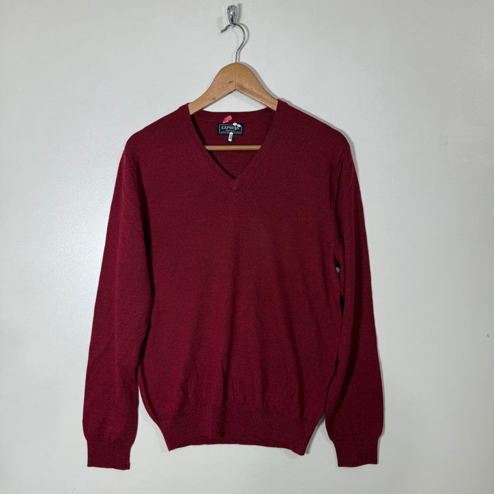 EXPRESS MODERN FIT EXTRA FINE MERINO WOOL V NECK SWEATER