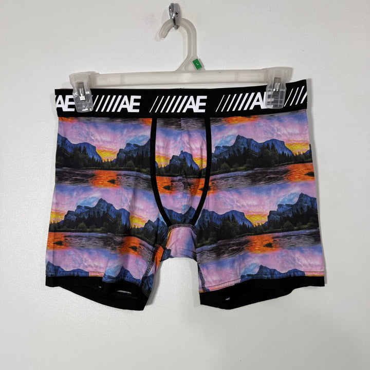 AMERICAN EAGLE PRINTED SPORT BOXER